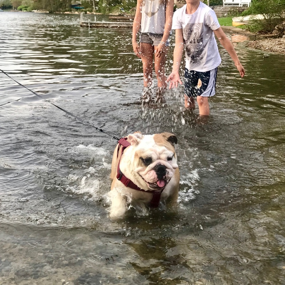 @Bekafab  FOLLOW GAME😻 - Picture 10 of 11